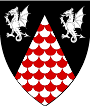 Arms Image